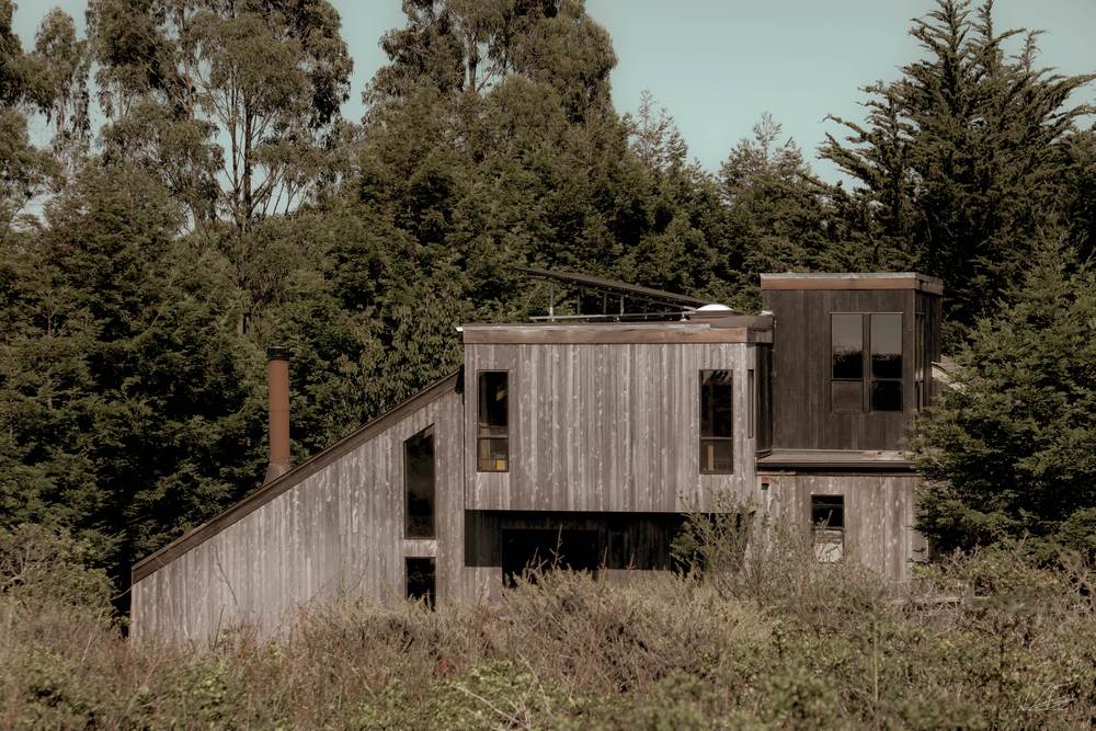 House in the Woods