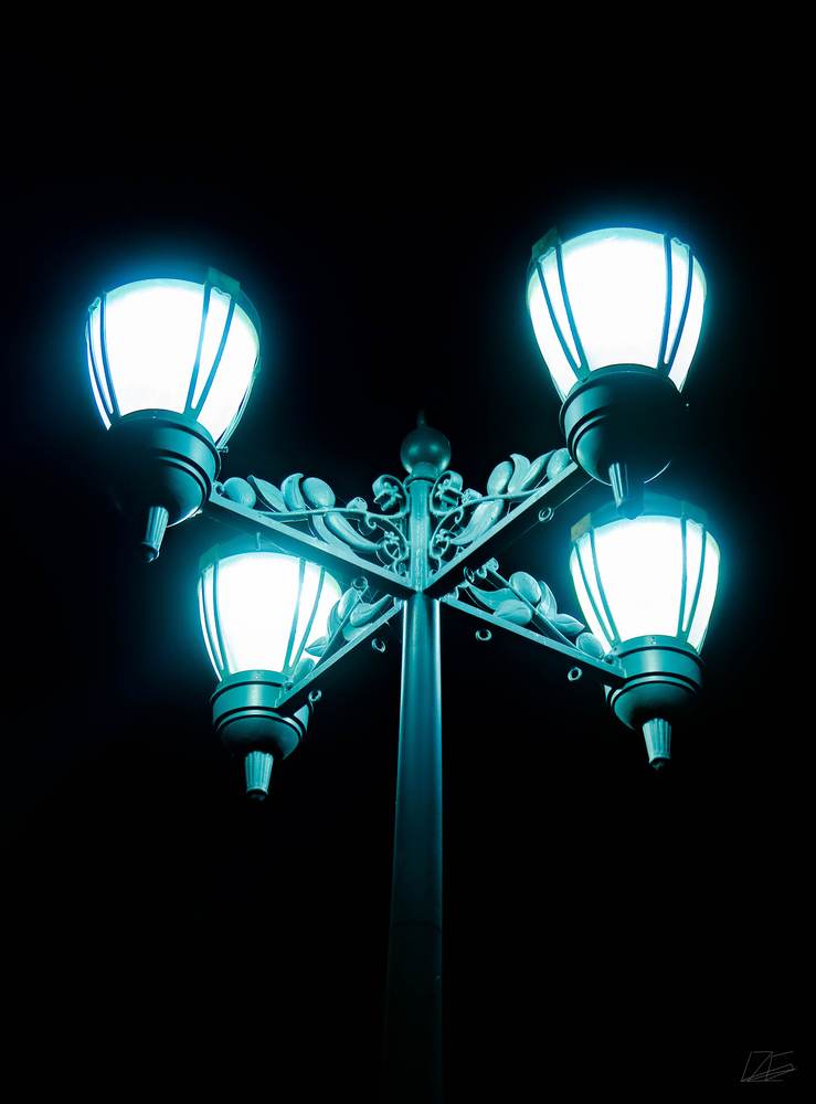 Light in the Dark